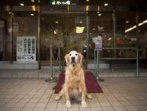 看板犬ラブがお待ちしております だいこく館 プランをみる