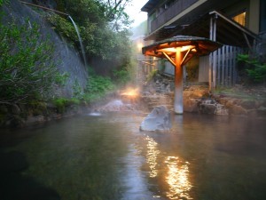 大丸温泉旅館 プランを見る