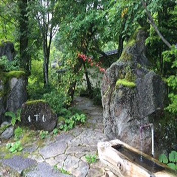 もずも プランを見る