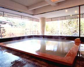秘湯の宿 元泉館 プランを見る
