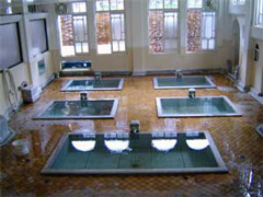 積善館 元禄の湯