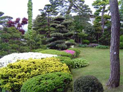 山城屋旅館?庭園