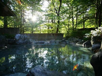 積善館 宿泊予約 るるぶトラベル